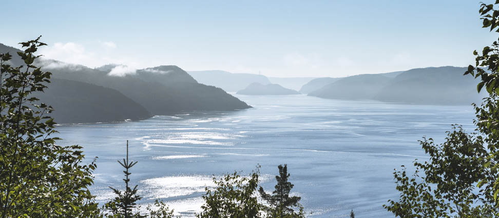 5 activités gratuites à faire dans les environs de Saguenay