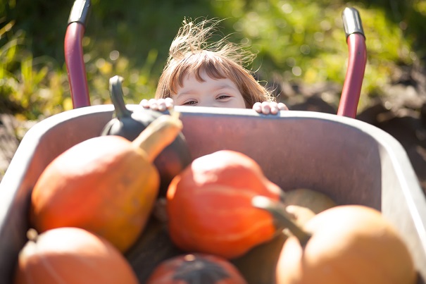 144 activités pour profiter de l’automne au Québec