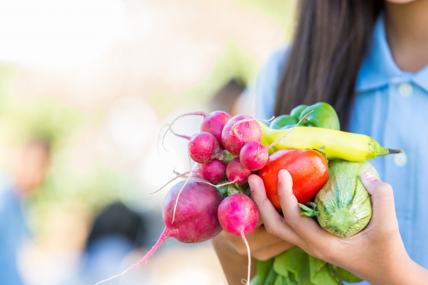 Potager en famille: 6 étapes pour commencer à jardiner