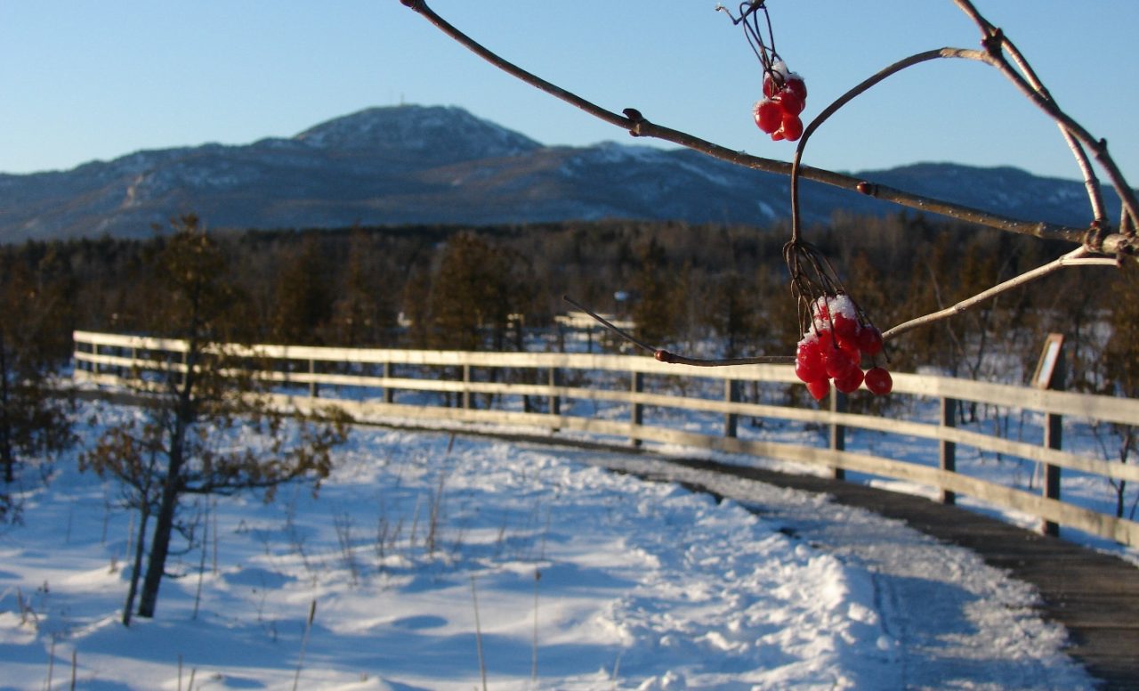 Les plus beaux sentiers où marcher cet hiver: 6 destinations