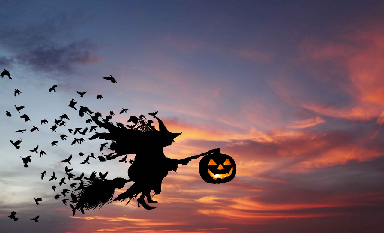 Halloween : une sortie à l’Aquarium du Québec