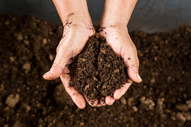 Compost