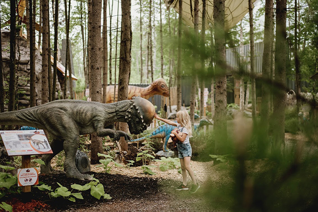 decouvrir limaginaire au woodooliparc scott en beauce