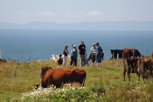 Visites à la ferme Iles de la Madeleine
