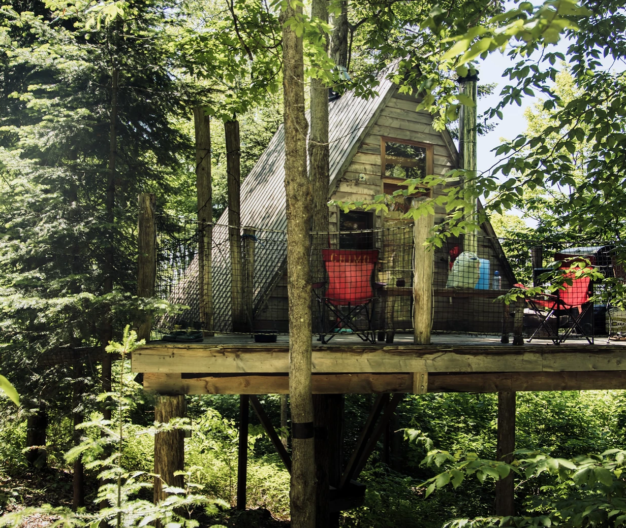 chimo refuge cabane stella dans les abres