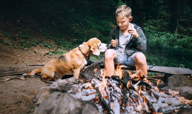enfant et chien dans un terrain de camping