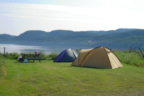 camper avec chien au camping du fjord