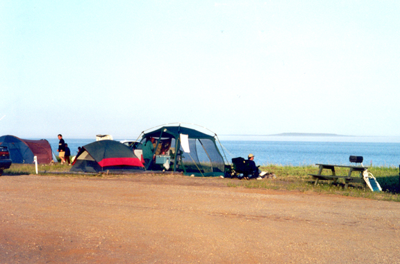 camping minganie accepte chien