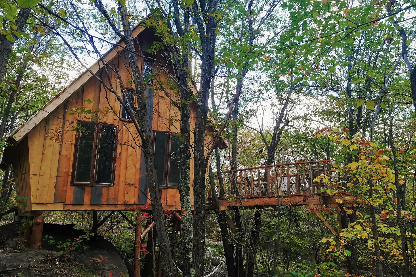 cabane dans les arbres les pieds sur terre