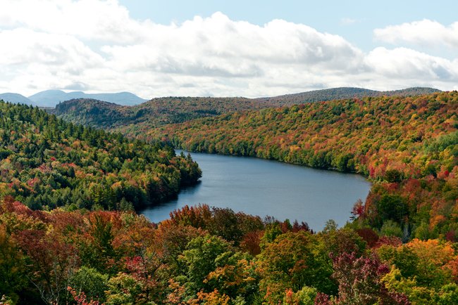 Des festivals à Orford, Magog, Sutton et Owl’s Head