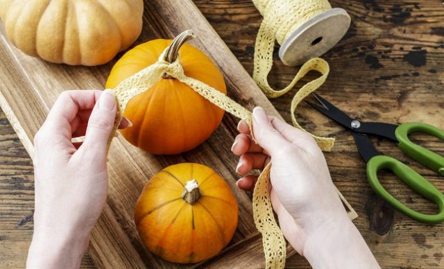 citrouilles décorée