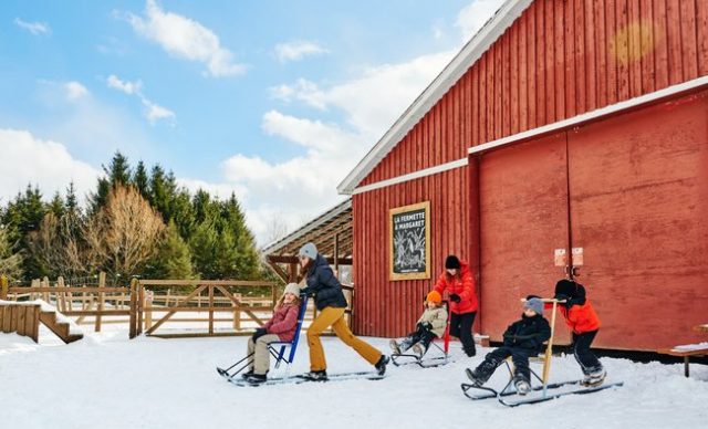 trottinettes des neiges famille hiver