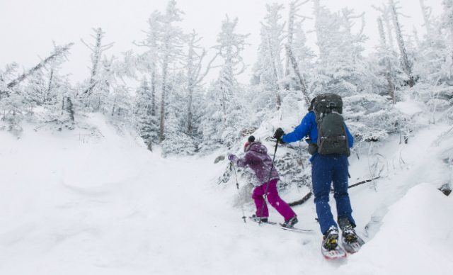 plein air famille hiver
