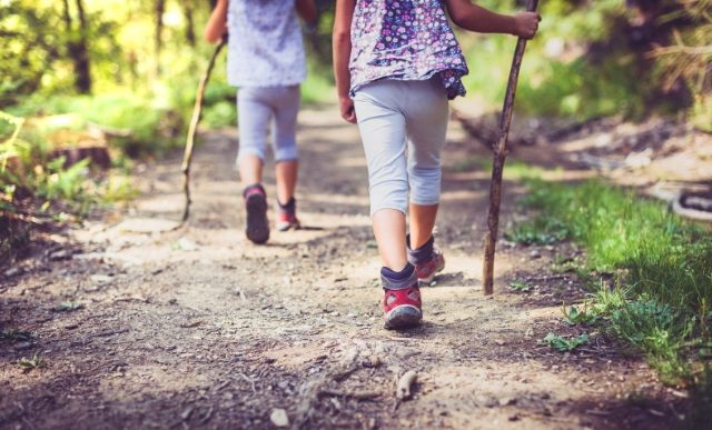 enfants qui marchent en forêt