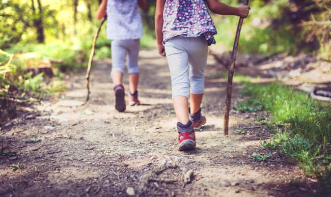 enfants qui marchent en forêt