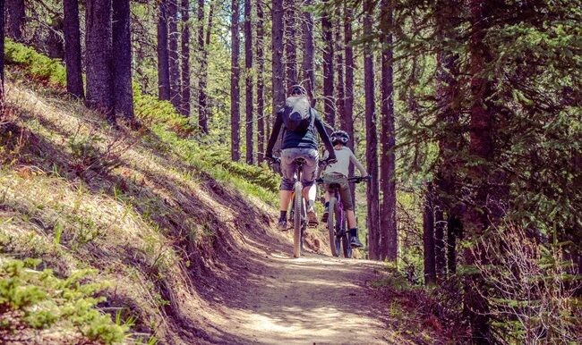 velo-montagne-famille-sentier_foret