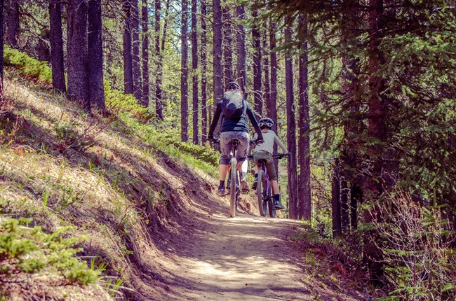velo-montagne-famille-sentier_foret