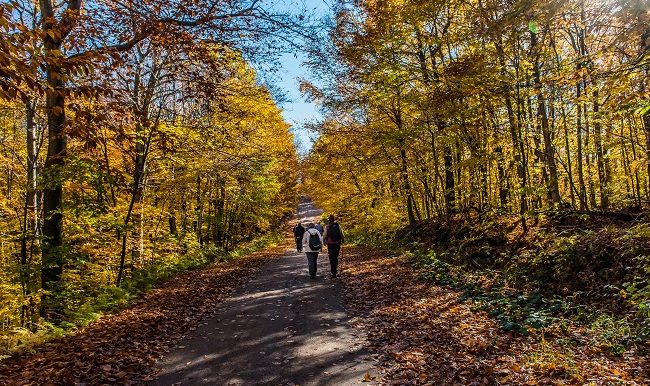 tourisme laurentides