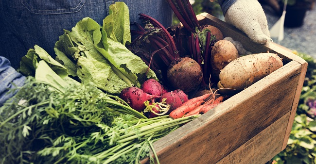 trucs-pour-manger-plus-local
