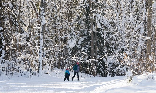 Ski de fond: petit guide pour pratiquer ce sport en famille