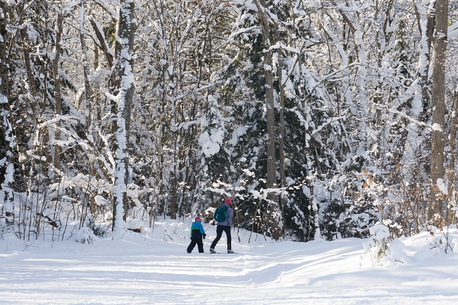 Ski de fond: petit guide pour pratiquer ce sport en famille