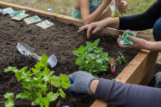 Comment faire un potager dans un bac?