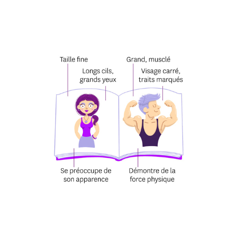modeles-varies