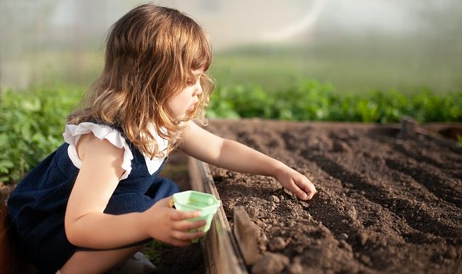 Potager-jardin petit-guide-faires-semis-famille-vifa-magazine
