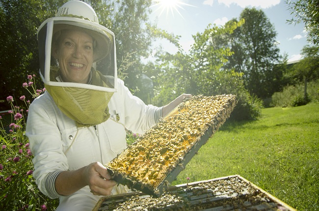 Quoi faire dans les laurentides