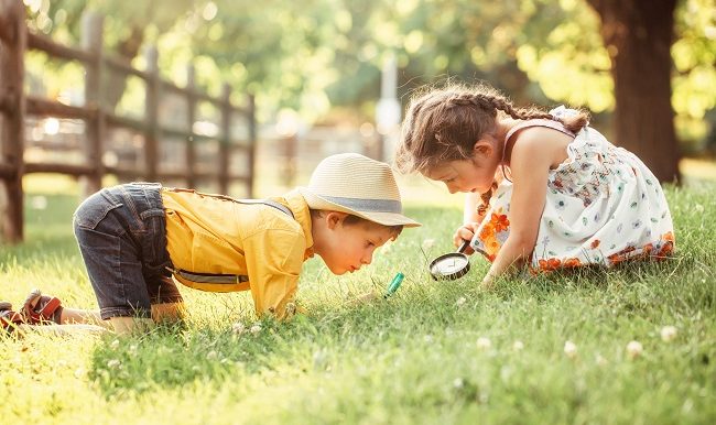 Apprendre en plein air