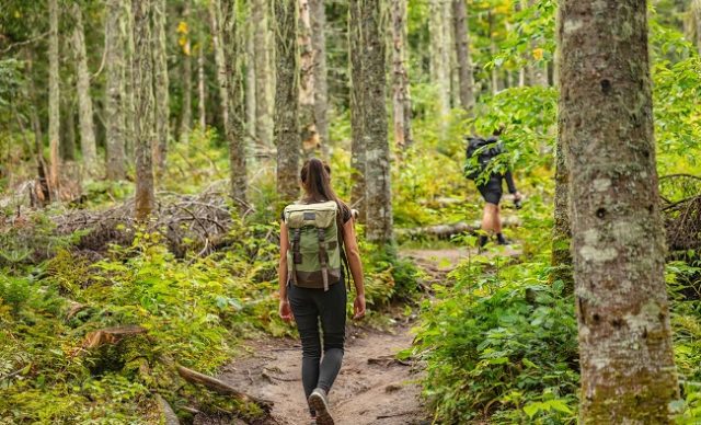 Sans trace en randonnee pédestre : comment profiter de la nature sans l’abîmer