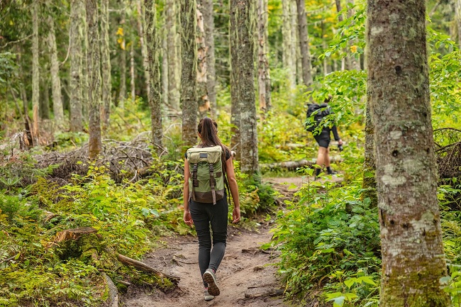 Sans trace en randonnée pédestre : comment profiter de la nature sans l’abîmer?