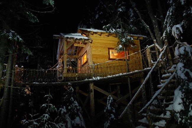 cabane dans les arbres l'hiver