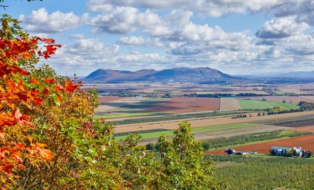 Automne_monterégie