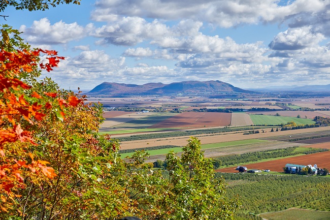 Automne_monterégie