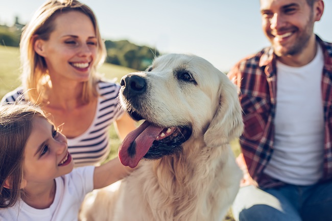 Randonnee-pedestre-avec-son-chien-sentiers-coups-de-cœur