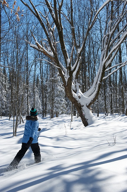 femme en raquette des neiges