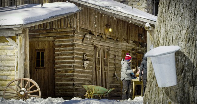 cabane a sucre