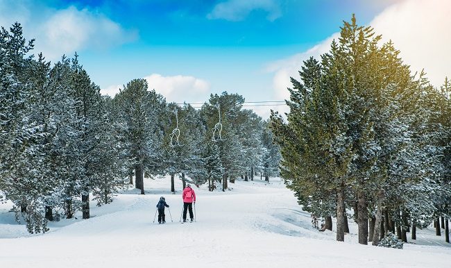 vifa-magazine-principes-pour-sortie-de-ski-avec-enfants-sans-de-souci