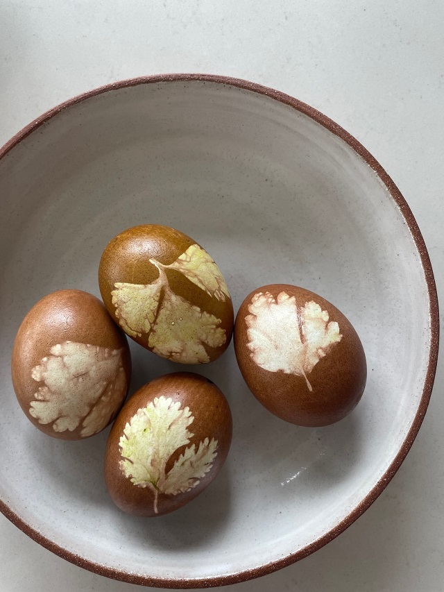Oeufs de pâques teints avec de la teinture naturelle dans une assiette