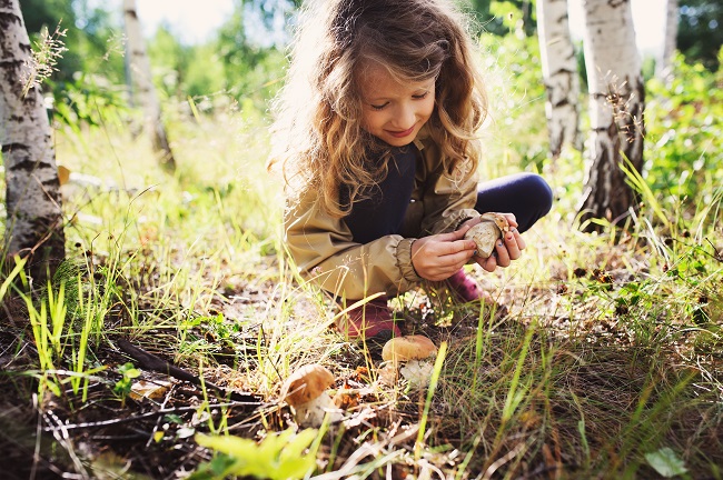  Appel de projets en cours: sensibiliser les enfants à la réalité du monde bioalimentaire