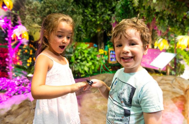 Vacances à Laval : 3 expériences sensorielles à vivre cet été!