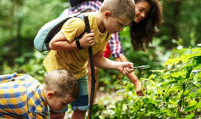 mere et ses fils qui font une randonnee dans la foret
