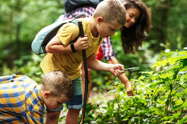 3 plantes dont il faut se méfier en randonnée (qui s’y frotte s’y pique!)