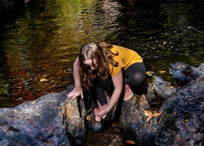 Éviter la turista des bois (ou l’eau est-elle potable en forêt?)