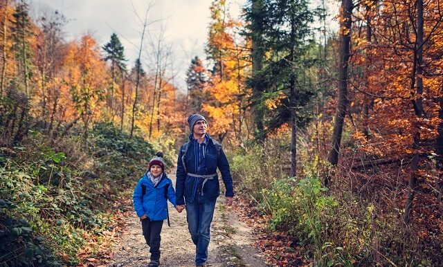 pere fils qui marchent dans la foret