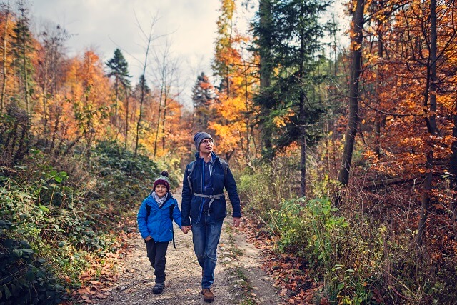 pere fils qui marchent dans la foret
