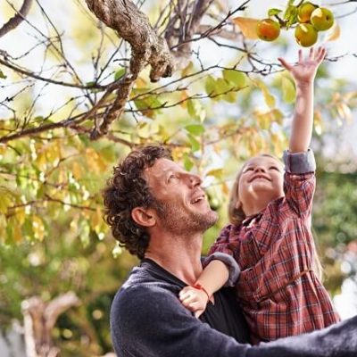 papa fille cueillent pommes automne