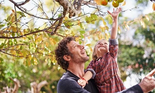 papa fille cueillent pommes automne