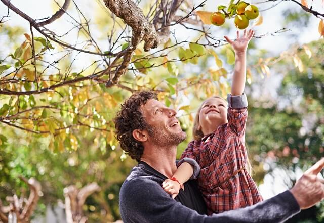 Les 11 plus beaux vergers où cueillir des pommes cet automne